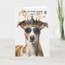 Suche nach whippet karten Haustiere
