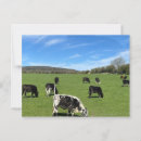Suche nach rinder postkarten Landschaft
