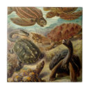 Suche nach haeckel fliesen Biologie