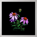 Suche nach gardening poster Flower