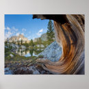 Suche nach ansel adams poster Bannerspitze