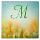 Suche nach tulip fliesen Tulpen