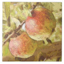 Suche nach apfelbaum fliesen Obst