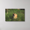 Suche nach bengalischer tiger leinwandbilder Horizontal