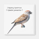 Suche nach spatz magnete Für alle