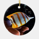 Suche nach gelbe fische ornamente Aquarium
