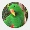 Suche nach australische vögel magnete Australischer vogel