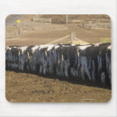Suche nach molkerei mousepads Bauernhof