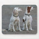 Suche nach setzer mousepads Englisch