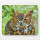 Suche nach eule im baum mousepads Wild lebende tiere