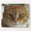 Suche nach tigerkatze mousepads Katzen