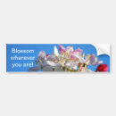 Suche nach kirschblüte autoaufkleber Blume