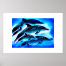 Suche nach delphine poster Meer