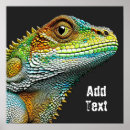 Suche nach lizards poster Eidechsen