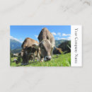 Suche nach weiden lassen visitenkarten Landwirtschaft