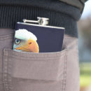 Suche nach adler flachmänner Vogelvogel