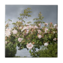 Suche nach tag fliesen Blumen