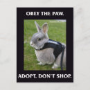 Suche nach niedliche haustiere postkarten Kaninchen