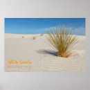 Suche nach yucca poster Wüste