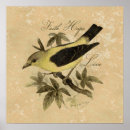 Suche nach fink poster Vintag