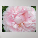 Suche nach große blumen poster Jede person