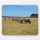 Suche nach kalb mousepads Feld