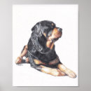 Suche nach rottweiler hund poster Haustier