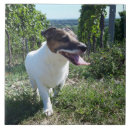 Suche nach dog fliesen Portrait