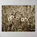 Suche nach sepia blume poster Jede person