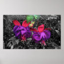 Suche nach pinkfarbener poster Natur