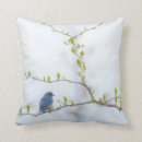 Suche nach singvogel kissen Jede person