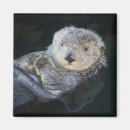 Suche nach niedliche otter magnete Seeotter
