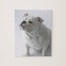 Suche nach englische bulldogge puzzle Spaß
