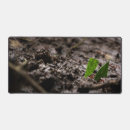 Suche nach ameise mousepads Fehler