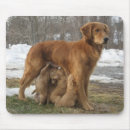 Suche nach golden retriever welpe mousepads Jede person