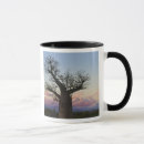 Suche nach baobab tassen Landschaft