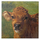 Suche nach ochsen fliesen Stier