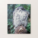 Suche nach schöne eule puzzle Natur