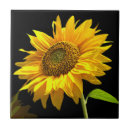 Suche nach sonnenblume fliesen Natur