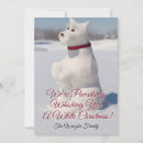 Suche nach schneehunde Jede person