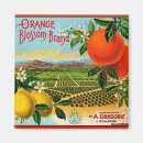 Suche nach kiste magnete Orangen