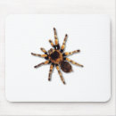 Suche nach spinne mousepads Insekt