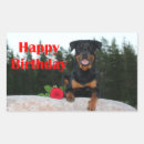 Suche nach rottweiler aufkleber Verrotten