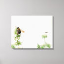 Suche nach hummel poster leinwandbilder Fotografie