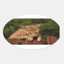 Suche nach gepunktete katze aufkleber Jede person