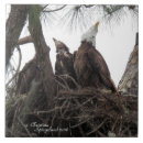 Suche nach eagle fliesen Vögel