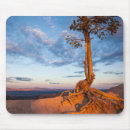 Suche nach bryce mousepads Natur