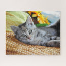 Suche nach kitten puzzle Cat
