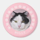 Suche nach pet magnete In loving memory