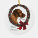 Suche nach vizsla ornamente Feiertag